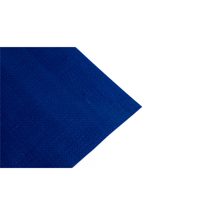 Bache 220 PE 10x20m util:9,8x19,8m bleu Bache 220 PE 10x20m util:9,8x19,8m bleu