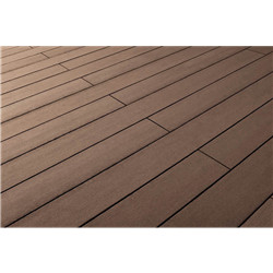 Terrafina Massiv XL lisse brun café - 5m